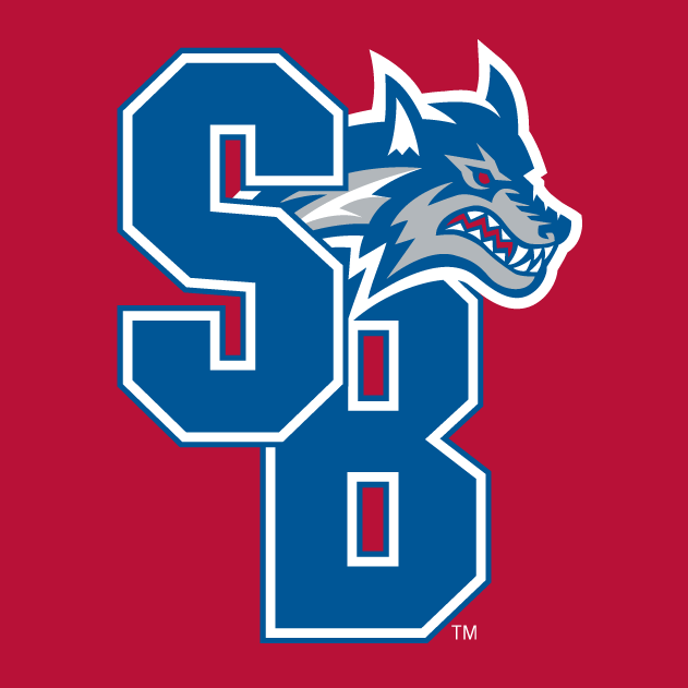 Stony Brook Seawolves 2008-Pres Alternate Logo v4 iron on transfers for T-shirts